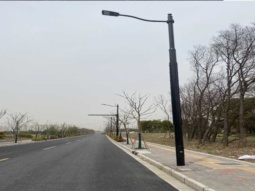 东兴区上海综合杆 太阳能路灯工程